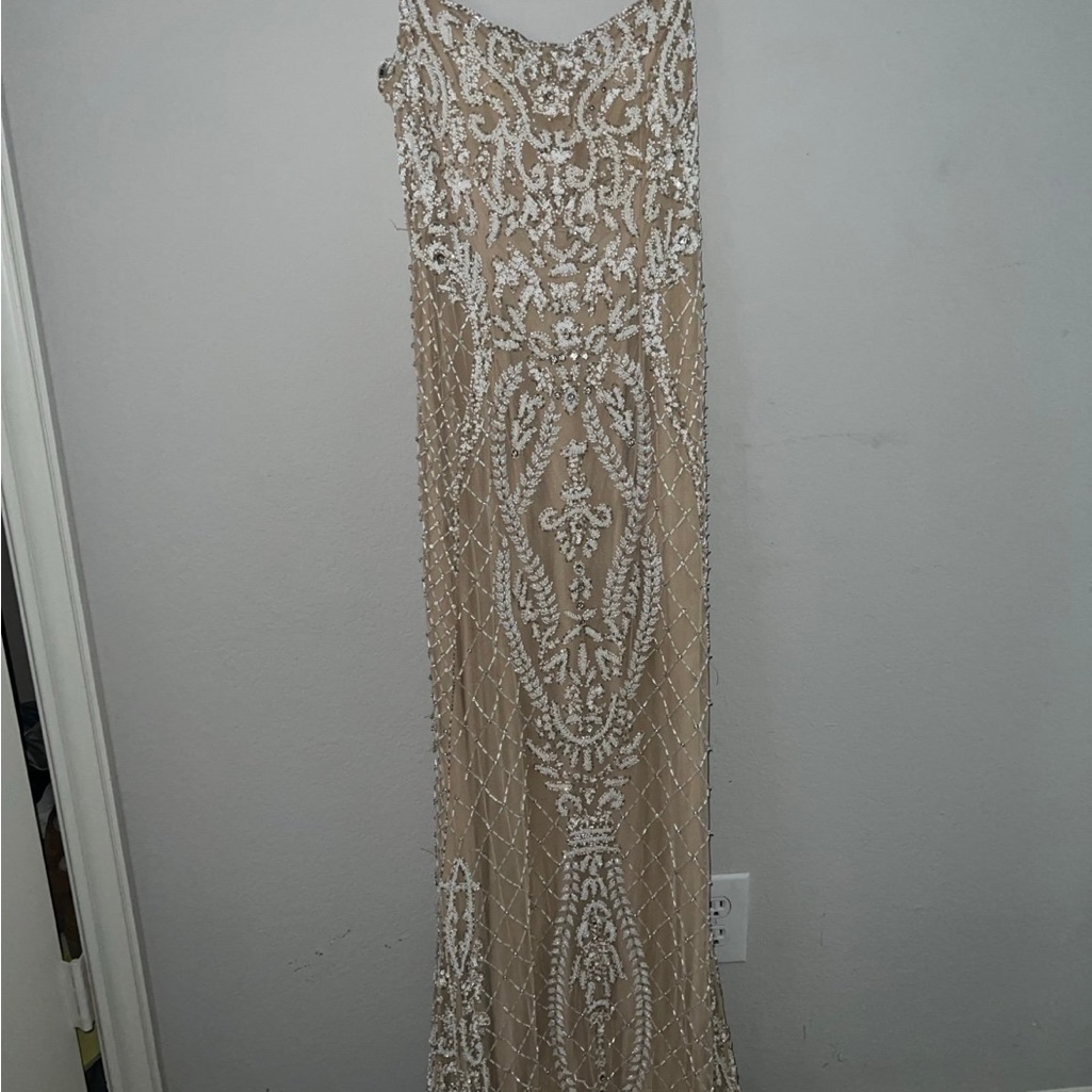 Elegant Beige And White Embellished Gown